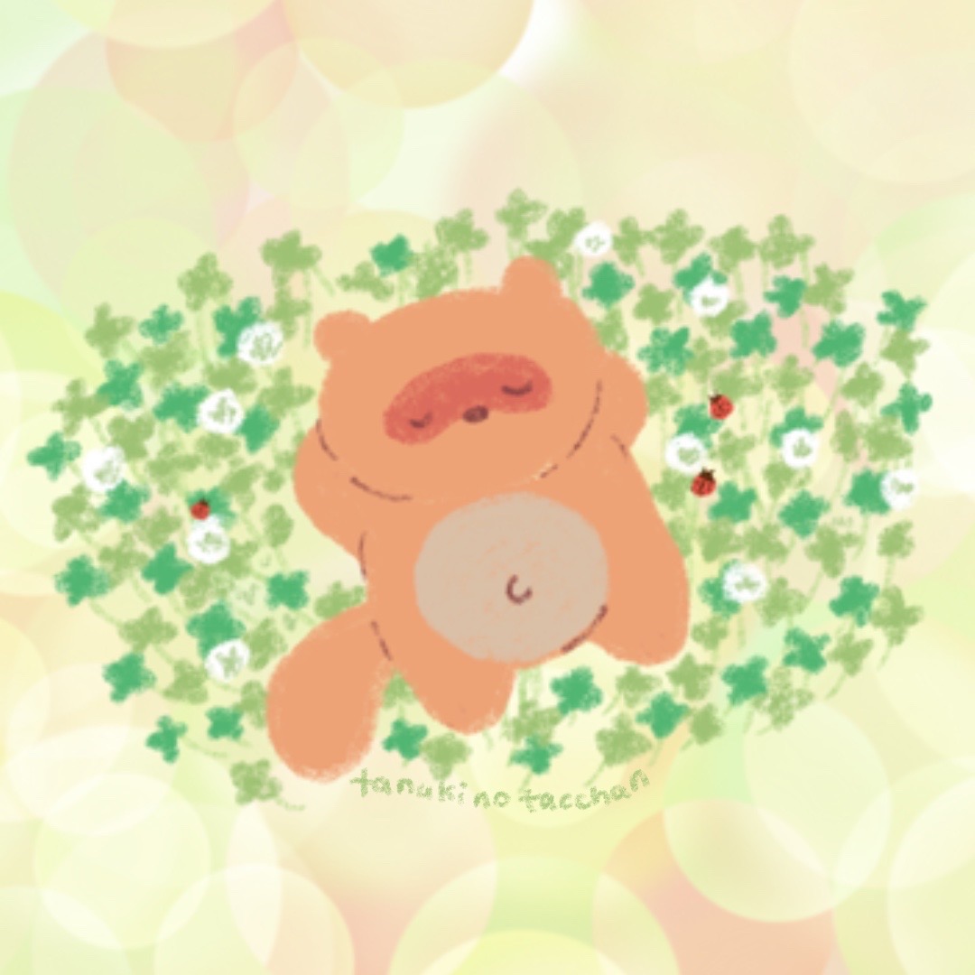 たぬきのたっちゃん たぬきのたっちゃん